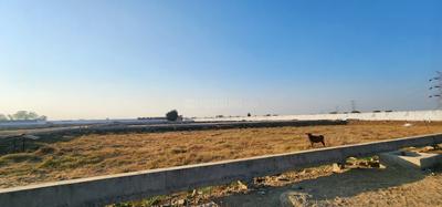 Image of 1000 Sq.ft Residential Plot / Land for sale in Higonya, Indore for Rs. 4500000