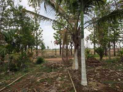 Image of 174240 Sq.ft Residential Plot / Land for sale in Doddaballapura, Bengaluru for Rs. 104000000