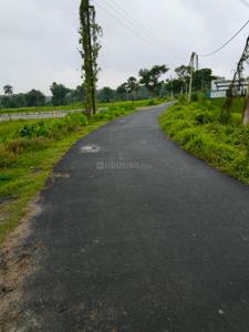 Natagachi Plot View 2