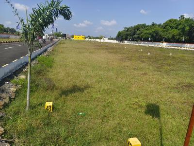 Mudichur Plot View 1