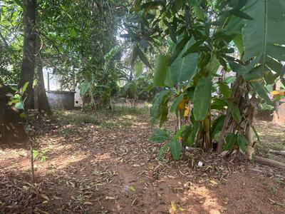 Image of 3484 Sq.ft Residential Plot / Land for sale in Chembukkav, Thrissur for Rs. 5400000
