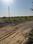 Mahlan Plot View 2