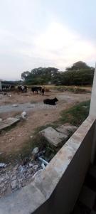 Balcony Image of 1250 Sq.ft 2 BHK Independent House for sale in Horamavu Bengaluru for Rs. 16200000