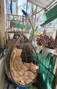 Balcony Image of 900 Sq.ft 2 BHK Apartment / Flat for sale in Vikaspuri New Delhi for Rs. 8500000