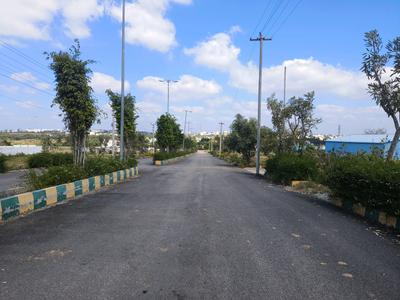 Residential Plot