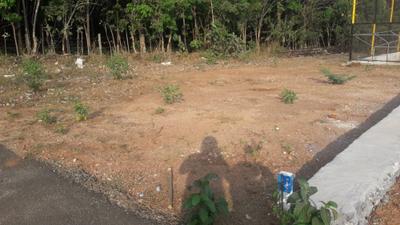Image of 2875 Sq.ft Residential Plot / Land for sale in Akathethara, Palakkad for Rs. 1650000