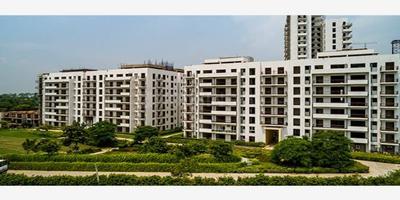 Image of 450 Sq.ft Residential Plot / Land for sale in Sector 89A, Gurgaon for Rs. 36000000