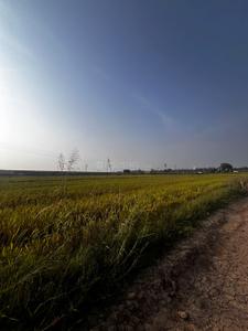 Image of 1035 Sq.ft Residential Plot / Land for sale in Kurali, Mohali for Rs. 6325000