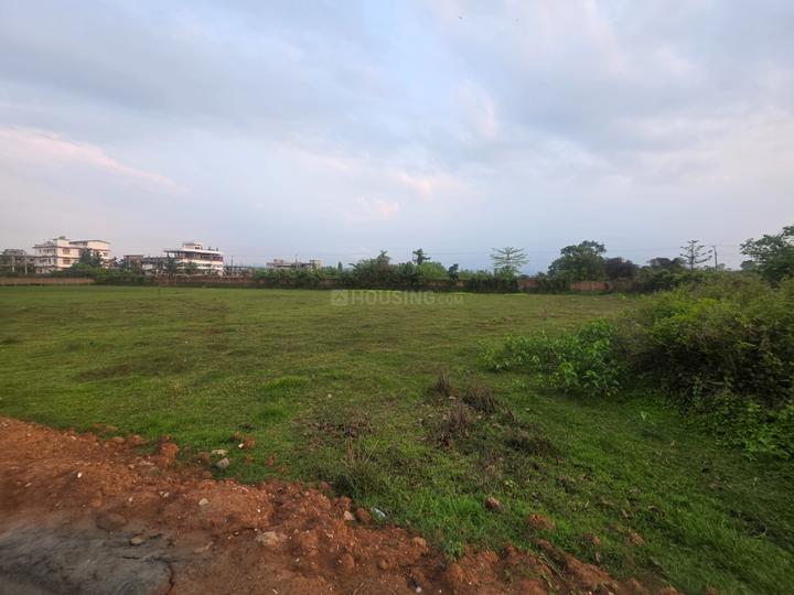 Azara Main Image 1