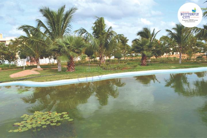 Fortune Butterfly City Main Image 1