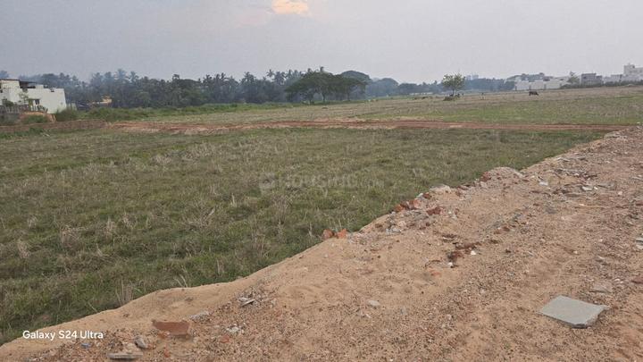 Atala Main Image 1