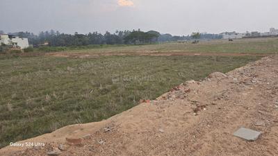 Atala Plot View 1