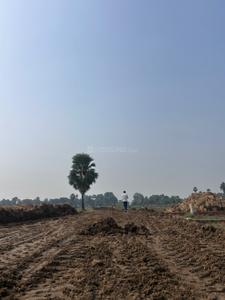 Sampatchak Plot View 3