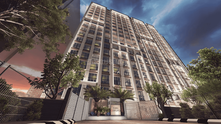 Romell Asrava Main Image 1