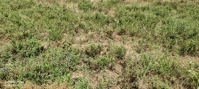 Image of 1800 Sq.ft Residential Plot / Land for sale in Defence Colony, Agra for Rs. 2200000