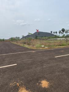 SHYAM AVENUE Plot View 2