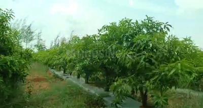 Image of 242 Sq.ft Residential Plot / Land for sale in Shamirpet, Hyderabad for Rs. 2500000