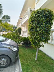 Image of 1350 Sq.ft 2 BHK Apartment / Flat for sale in Deolali Camp, Devlali for Rs. 7500000
