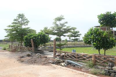 Image of 600 Sq.ft Residential Plot / Land for sale in Naya Raipur, Raipur for Rs. 811100