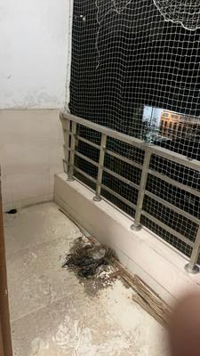 Image of 800 Sq.ft 2 BHK Builder Floor for rent in Palam Vihar Extension, Gurgaon for Rs. 15000