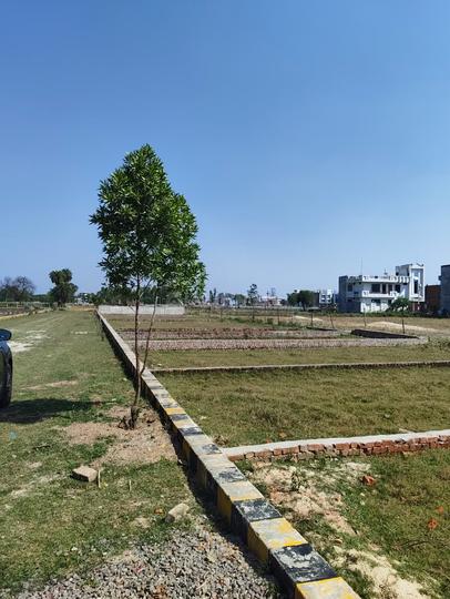 Palhari Main Image 1