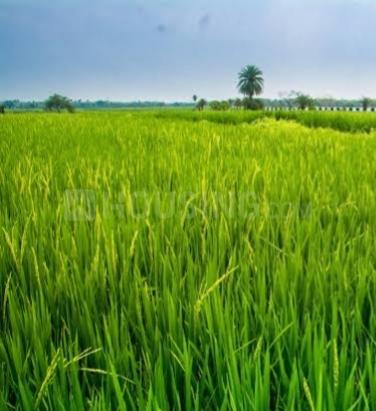 Railway Loco Colony Main Image 1