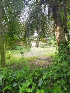 Digha Plot View 2