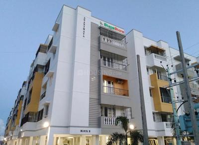 Image of Ladies Sharing 4BHK Flat PG model in Urapakkam, Chennai
