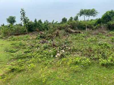 Image of 1200 Sq.ft Residential Plot / Land for sale in Kantabada, Bhubaneswar for Rs. 1800000