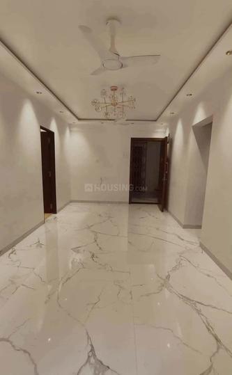 Alpine Primo Main Image 1