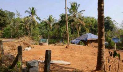 Image of 3263 Sq.ft Residential Plot / Land for sale in Ottapalam, Palakkad for Rs. 2000000