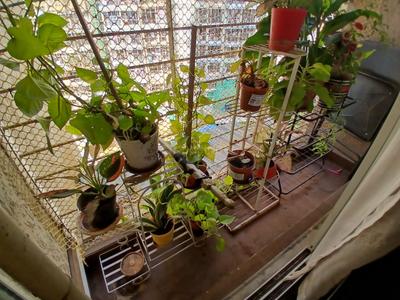 Balcony Image of 660 Sq.ft 1 BHK Apartment / Flat for sale in Mahaavir Heights, Kalamboli Navi Mumbai for Rs. 6400000