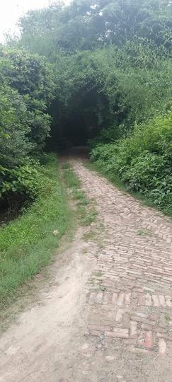 Vineet Khand 6 Main Image 1