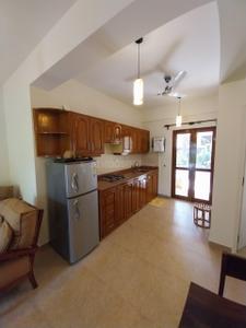 Kitchen Image of 1001 Sq.ft 2 BHK Apartment / Flat for rent in Siolim Goa for Rs. 65000