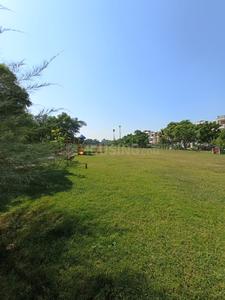 Sector 66 Plot View 3