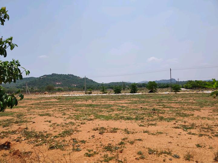 Kadthal Main Image 1