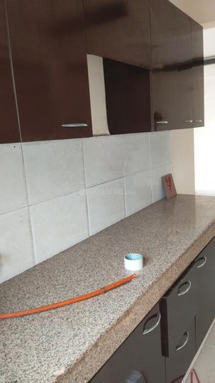 Sam Palm Olympia Main Image 1