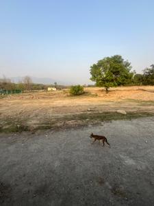 Image of 2565 Sq.ft Residential Plot / Land for sale in Sahaspur, Dehradun for Rs. 12825000