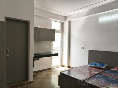 Bedroom Image of 1200 Sq.ft 1 RK Apartment / Flat for rent in Sector 13 Gurgaon for Rs. 15000