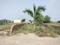 Sherpur  Main Image 1