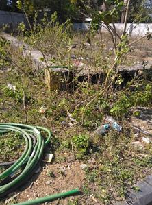 royal rajputana co Plot View 1