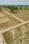 Vibhav city Plot View 2