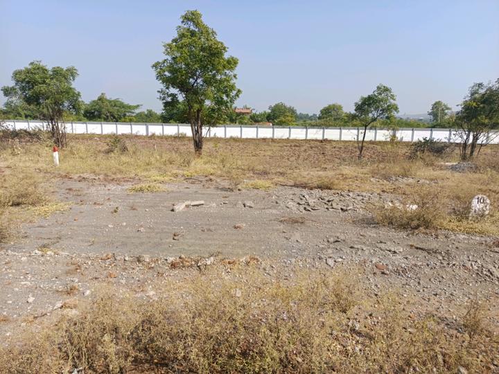 Uruli Kanchan Main Image 1