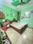 a8 dk road mohan garden  Bedroom 2