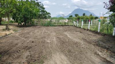 Image of 1800 Sq.ft Residential Plot / Land for sale in Thudiyalur, Coimbatore for Rs. 1525000