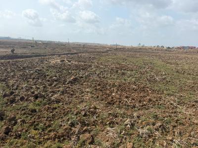 Chirner Plot View 2