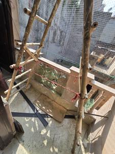 Balcony Image of 901 Sq.ft 3 BHK Builder Floor for sale in Laxmi Nagar New Delhi for Rs. 7500000
