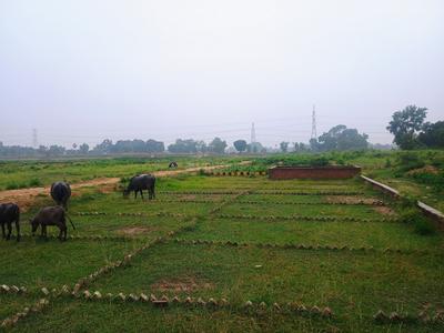 Image of 1200 Sq.ft Residential Plot / Land for sale in Bihta, Patna for Rs. 1635000