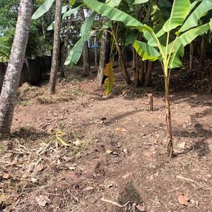 Image of 283 Sq.ft Residential Plot / Land for sale in Thirumala, Thiruvananthapuram for Rs. 10500000