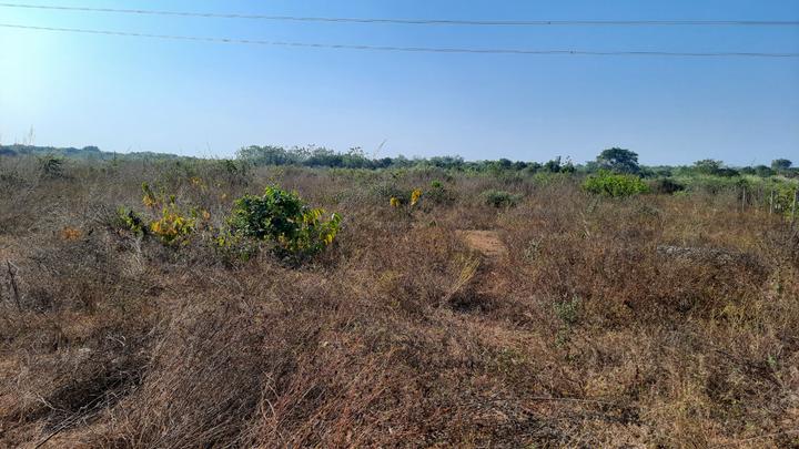 Chandaka Main Image 1